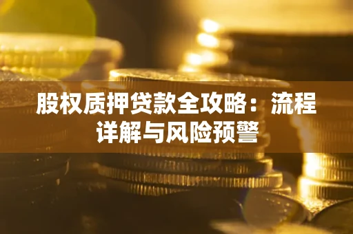武汉股权质押贷款全攻略：流程详解与风险预警
