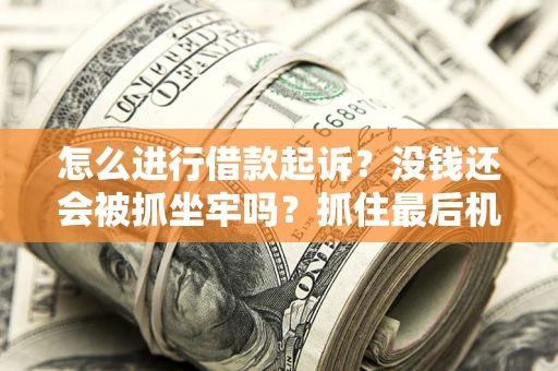 武汉怎么进行借款起诉？没钱还会被抓坐牢吗？抓住最后机会！