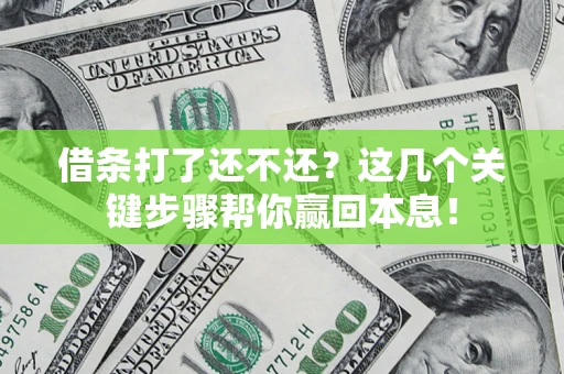 武汉借条打了还不还？这几个关键步骤帮你赢回本息！