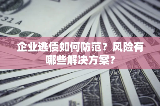 武汉企业逃债如何防范？风险有哪些解决方案？