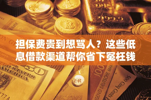 武汉担保费贵到想骂人？这些低息借款渠道帮你省下冤枉钱
