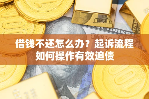 武汉借钱不还怎么办？起诉流程如何操作有效追债