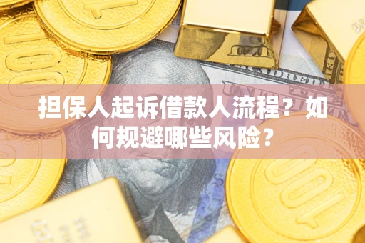 武汉担保人起诉借款人流程？如何规避哪些风险？