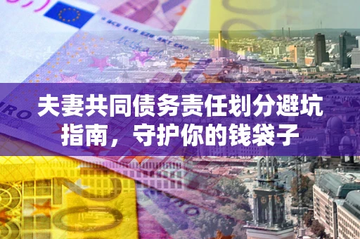 武汉夫妻共同债务责任划分避坑指南，守护你的钱袋子