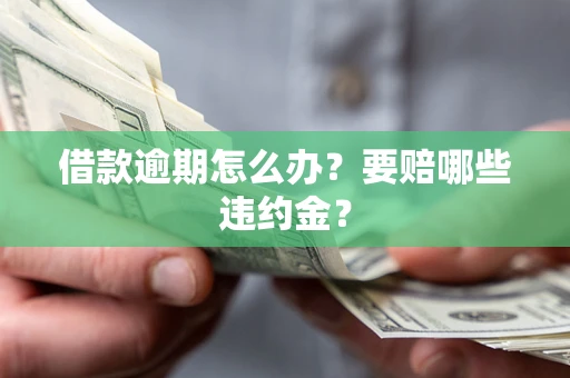 武汉借款逾期怎么办？要赔哪些违约金？