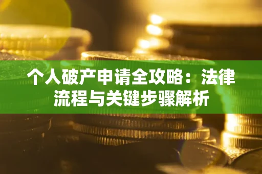 武汉个人破产申请全攻略：法律流程与关键步骤解析